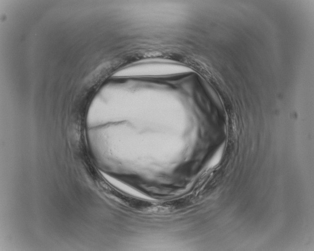 X0000074290691200609151917