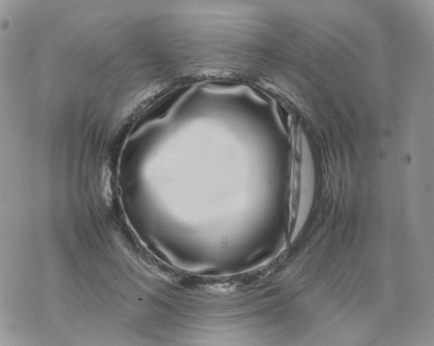 X0000074290692200609151917