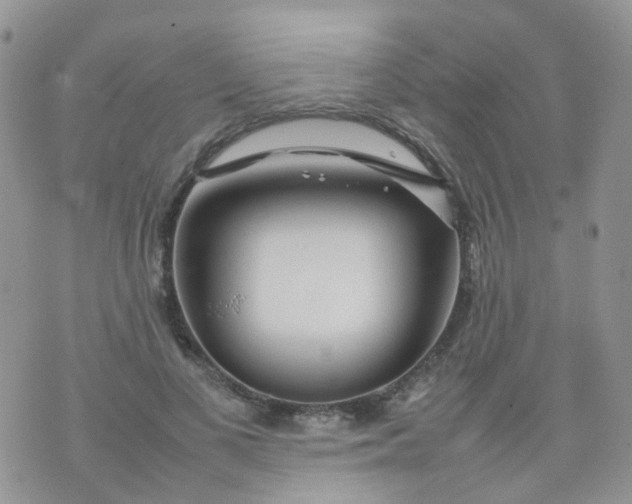 X0000074290693200609151917