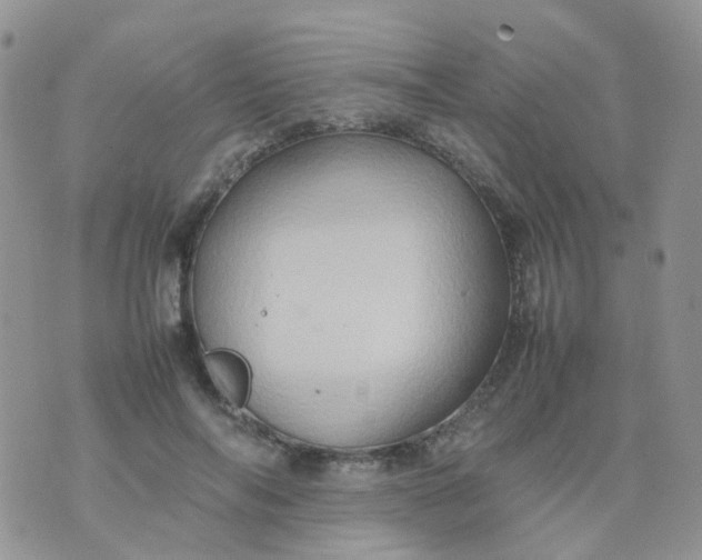 X0000074290694200609151917