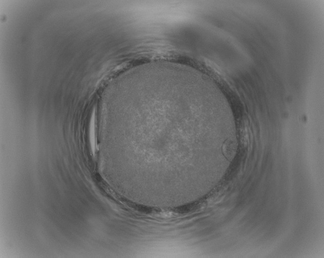 X0000074290695200609151917