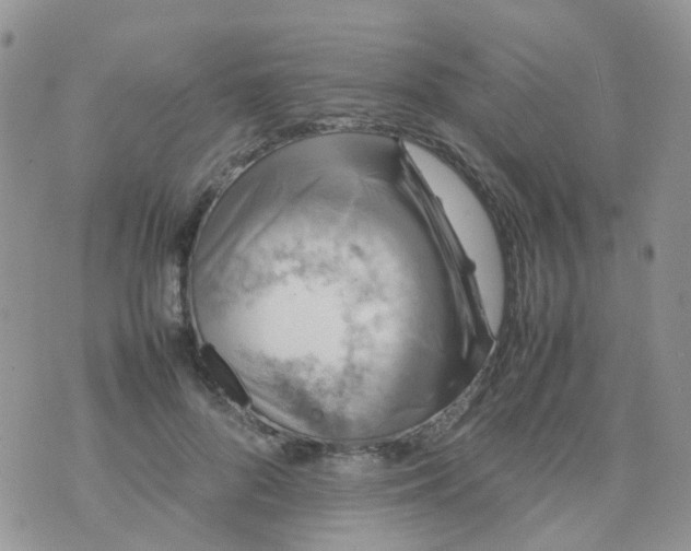 X0000074290696200609151917