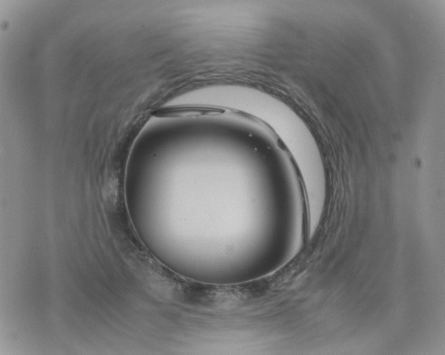 X0000074290697200609151917