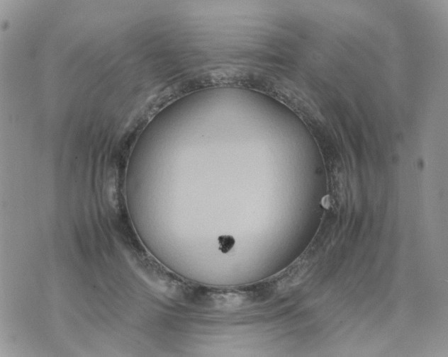 X0000074290698200609151917