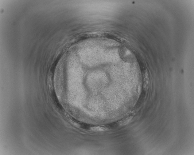 X0000074290699200609151917