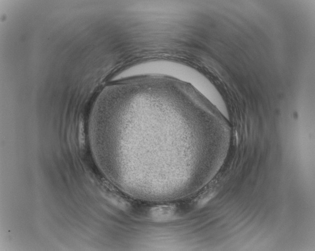 X0000074290700200609151917