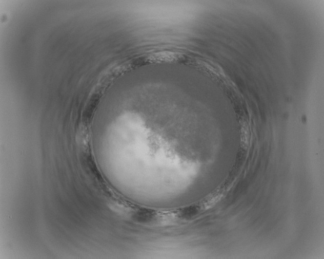 X0000074290701200609151917