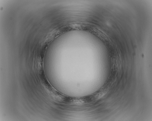 X0000074290702200609151917