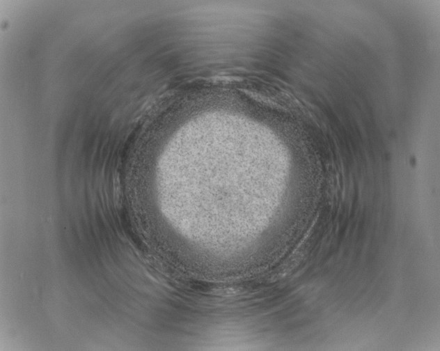 X0000074290704200609151917