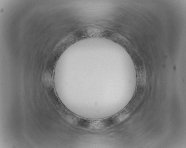 X0000074290705200609151917