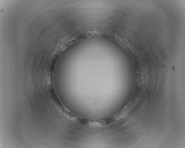 X0000074290706200609151917