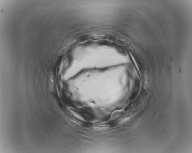 X0000074290707200609151917