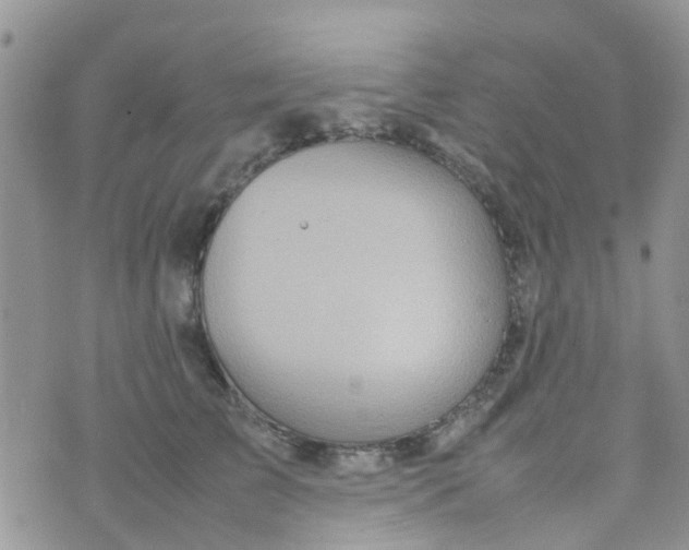 X0000074290709200609151917