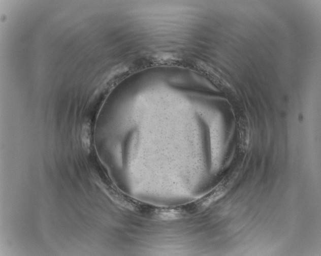 X0000074290710200609151917