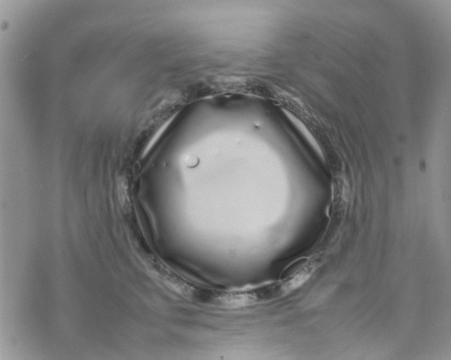 X0000074290711200609151917