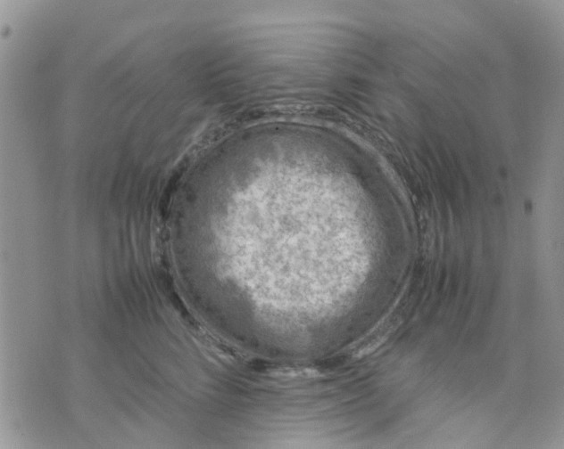 X0000074290712200609151917