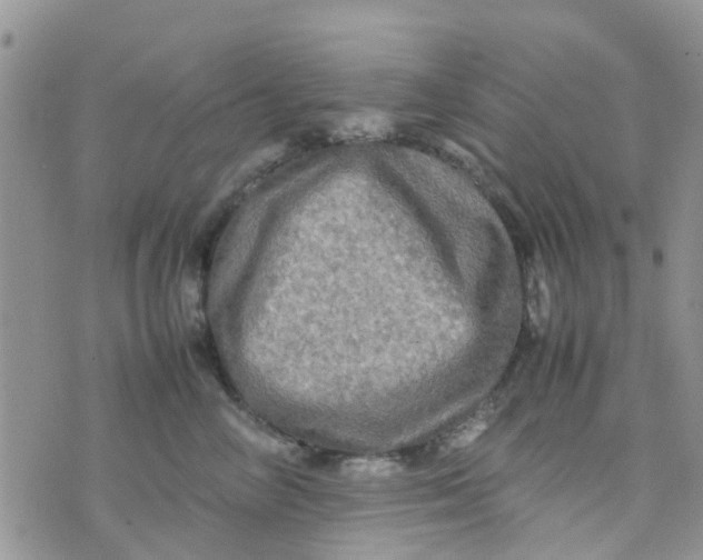 X0000074290714200609151917