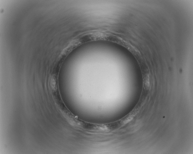 X0000074290715200609151917