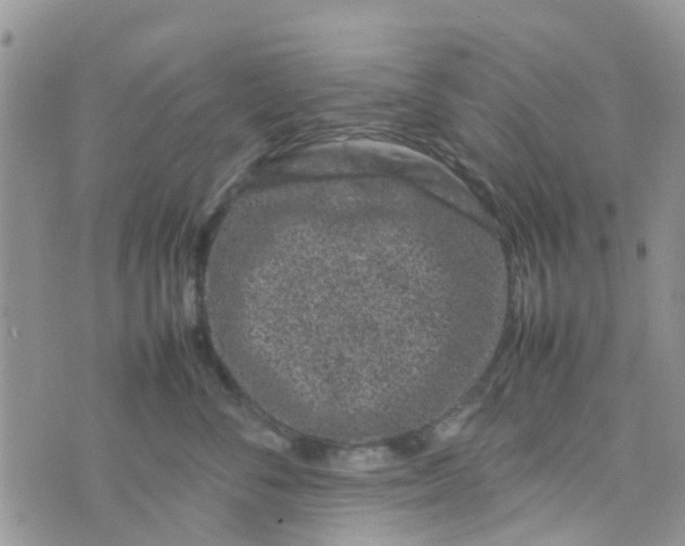 X0000074290716200609151917