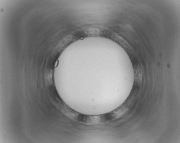 X0000074290717200609151917