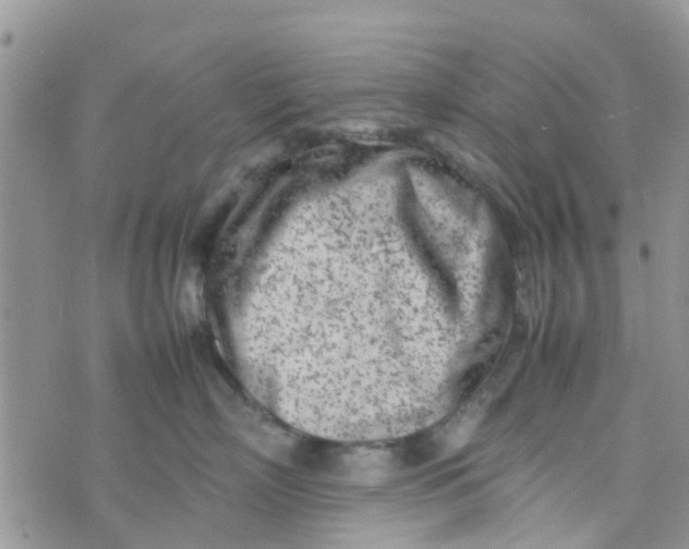 X0000074290718200609151917