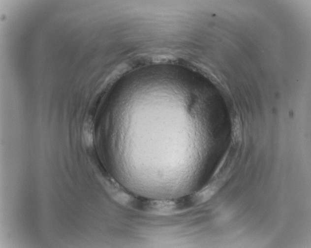 X0000074290719200609151917