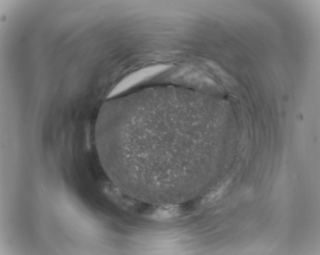 X0000074290720200609151917