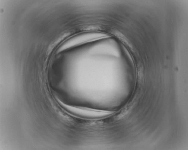 X0000074290721200609151916