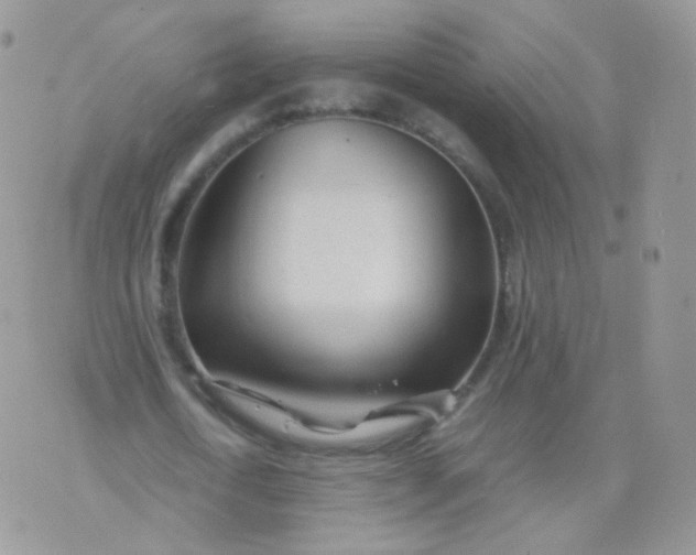 X0000074290722200609151916