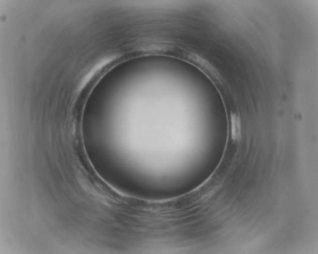 X0000074290723200609151916