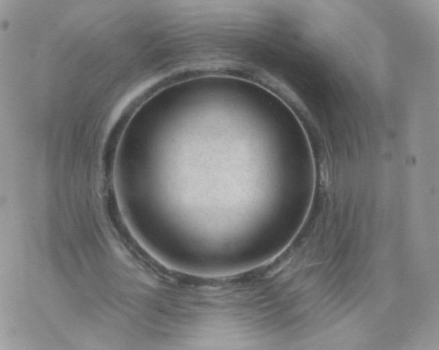 X0000074290724200609151916