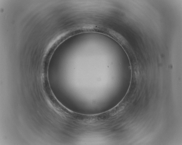 X0000074290728200609151916