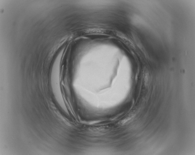 X0000074290729200609151916