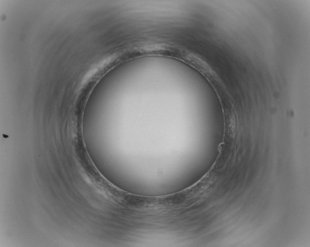 X0000074290732200609151916