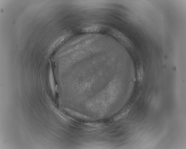 X0000074290733200609151916