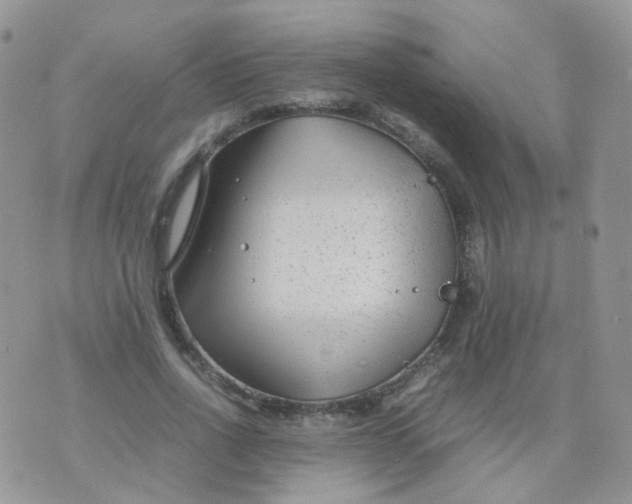 X0000074290734200609151916