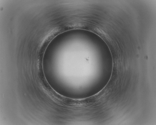 X0000074290735200609151916