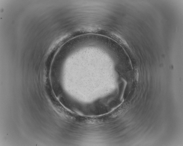 X0000074290736200609151916