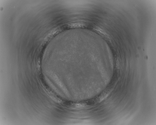 X0000074290737200609151916