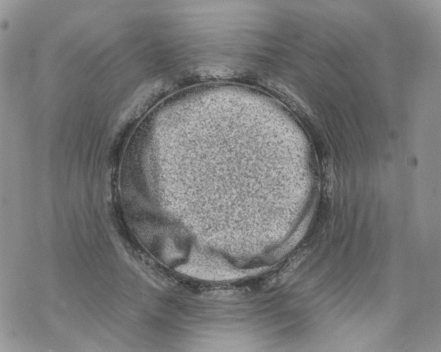 X0000074290738200609151916