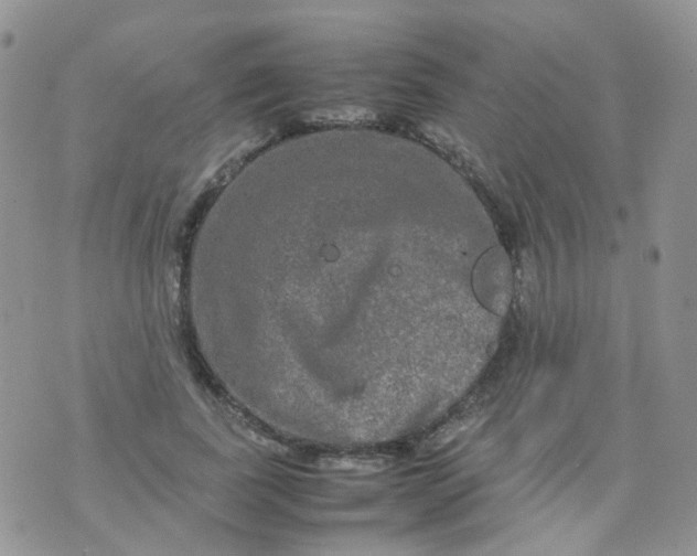 X0000074290739200609151916