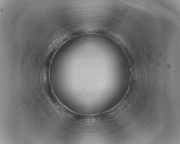 X0000074290740200609151916