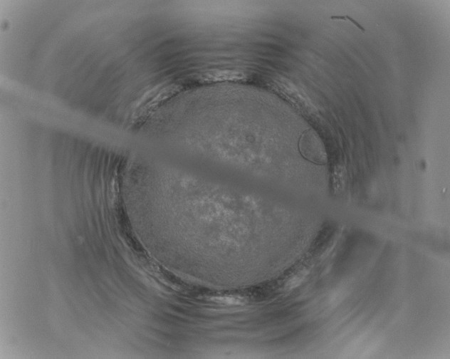 X0000074290741200609151916