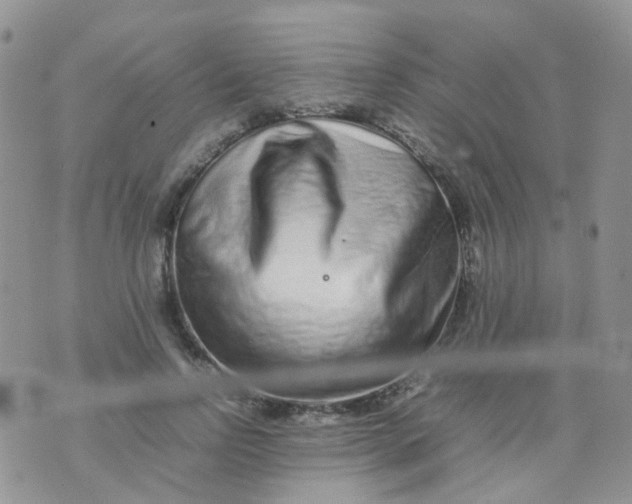 X0000074290742200609151916