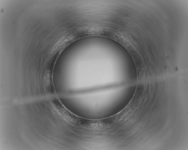 X0000074290744200609151916