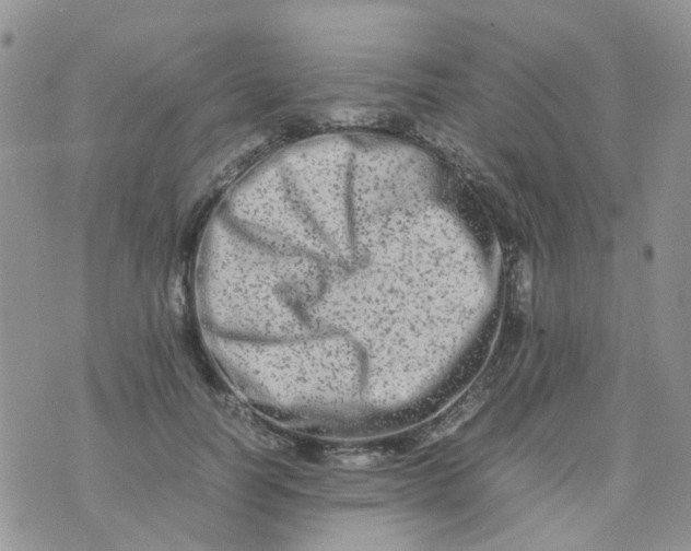 X0000074290746200609151916