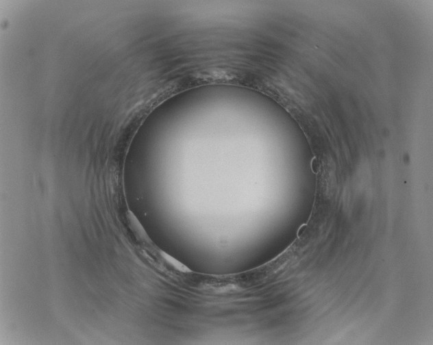 X0000074290747200609151916