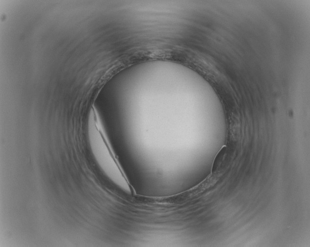 X0000074290748200609151916