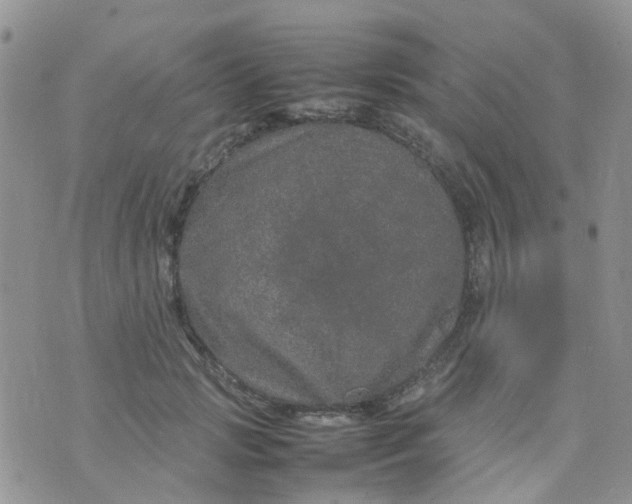 X0000074290749200609151916