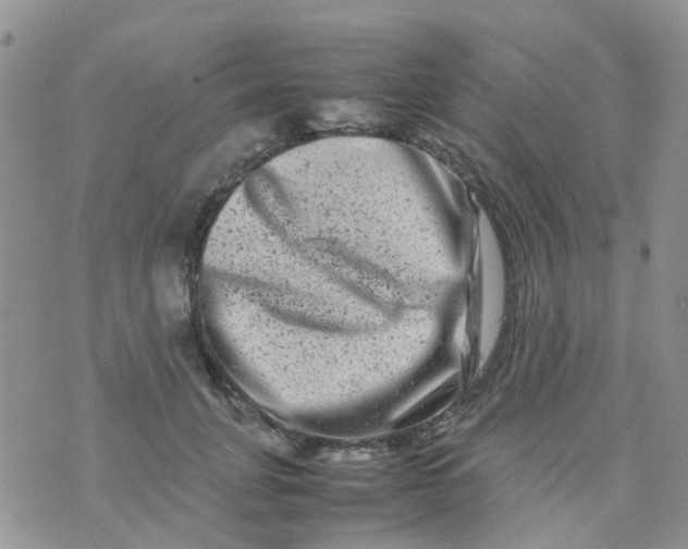 X0000074290751200609151916